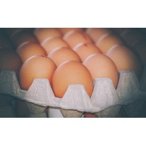 Eier frisch