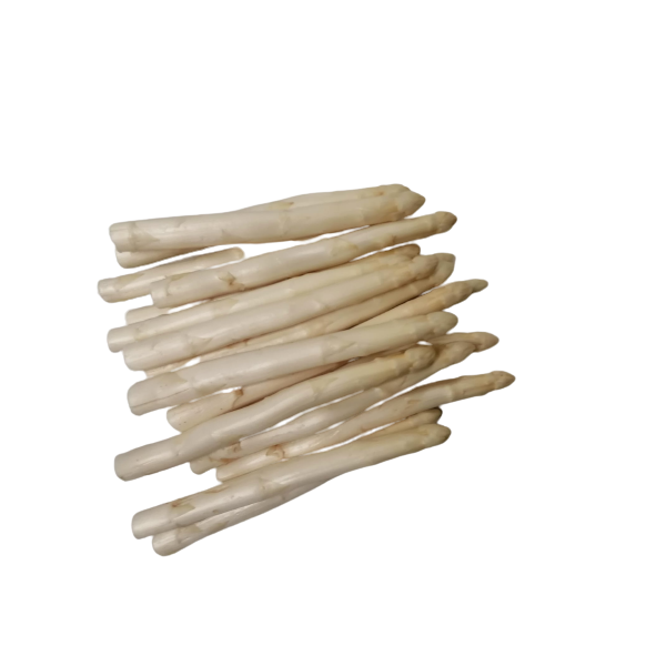 Asparagi freschi bianchi ITALIA 20+ ca.6kg / Ki (8 mazzi a ca.750gr)