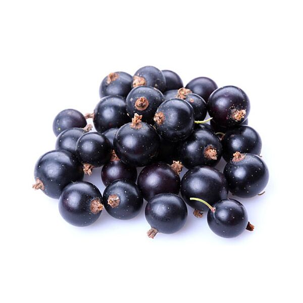 Johannisbeeren SCHWARZ Ribes 2x2,5kg