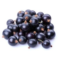 Johannisbeeren SCHWARZ Ribes 2x2,5kg