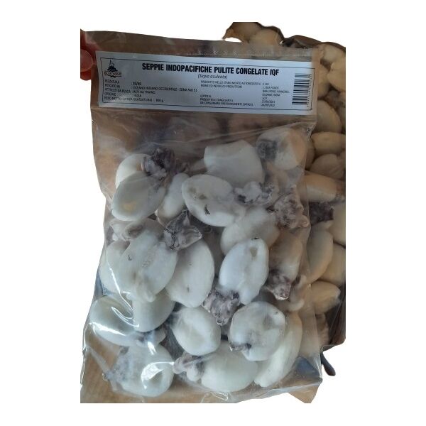 Seppie (seppiella inermo) 20/40 Indopacifico Indonesia 2kg x 6