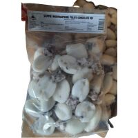Seppie (seppiella inermo) 20/40 Indopacifico Indonesia...