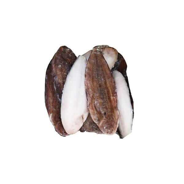 Sogliola intera surg. Olanda 300/400g peso netto 7kg (17pz / ct)