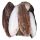 Sogliola intera surg. Olanda 300/400g peso netto 7kg (17pz / ct)