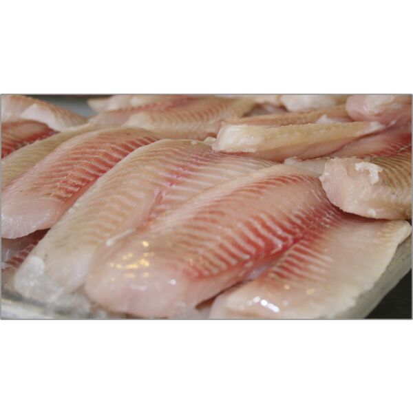 Tilapia Filet o.H. 140/170 Buntbarsch netto 4,5kg (aehnlich Zander) 