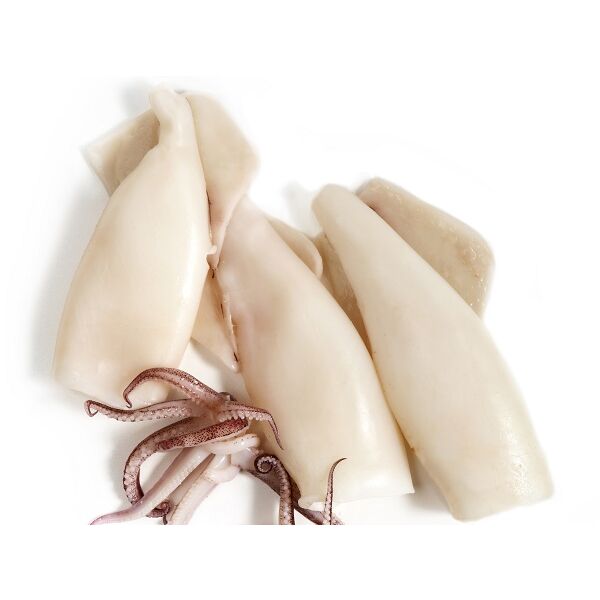 Tintenfisch SQUID TUBES U10 gefr. (Calamari) IQF 700grx10 (ca.8St/Sa)