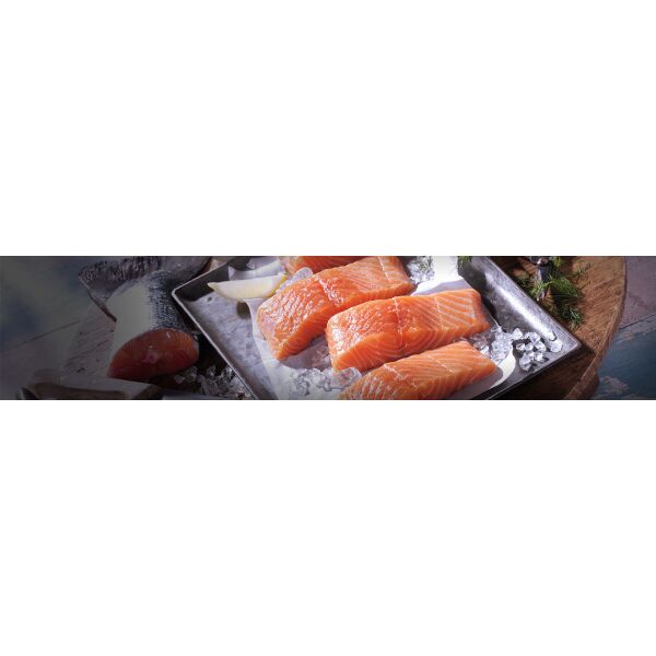 filetto di salmone Porzioni singolarmente sv. ca.175gr m.H. 5 kg netti (circa 26 pezzi) Salmo Salar