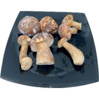 Funghi porcini interi SURMONT EXTRA surg. 1kgx6 CP0009