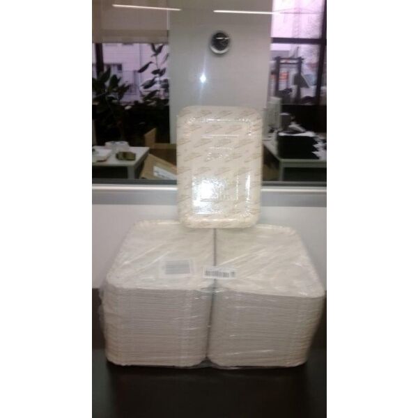 Piatti di carta N.5 (5E=4S) rivestiti plastificati (20x29cm) 10kg = 158 pz.