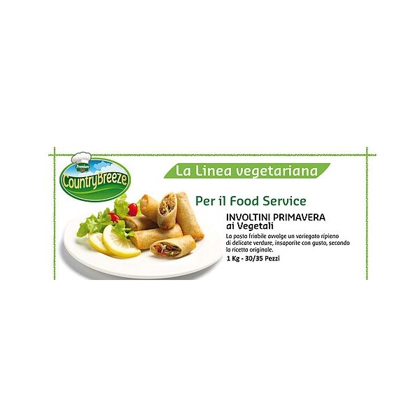 Fruehlingsrollen Eurofood Involtini vegetarisch 15gr x 60 = 900gr x 10