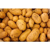 Kartoffel frisch festkochend Sack 10kg Deutschland...
