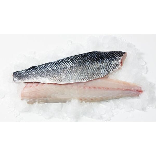 Branzino filetto c.p. surg. 160g+ netto 4kg ca.26pz 