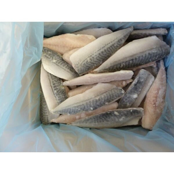 Sgombri Filet Makrelen gefr. m.H. 120/160g Starfish 1kg x 5 IQF (ca.6St)