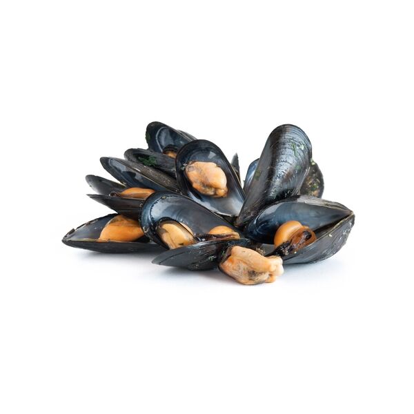 Miesmuscheln schwarz (Cozze) halbe Schale CILE gefr. 60/80 900grx5 (1L=7)