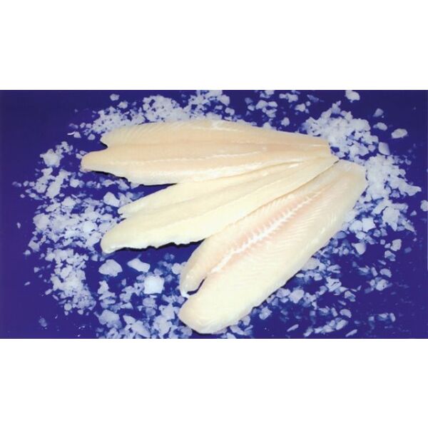 Filetto di pangasio congelato 120/170 IQF 4kg Sealight blu (ca.24pz)