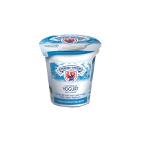 Yogurt NATUR 125grx20 cod.165