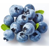 Schwarzbeeren Wild Heidelbeeren gefr. 2,5kg x 4 cod.704