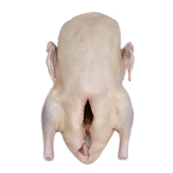 ZZZ Anatra surg. arrost. senza osso HAPPY DUCK 500-600g x 20