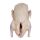 ZZZ Anatra surg. arrost. senza osso HAPPY DUCK 500-600g x 20