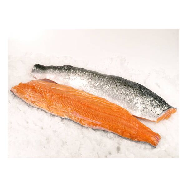 Filetto di salmone congelato singolo vak. ca. 1,0-1,4 kg m.h. Salmo Salar, Trim D (ca.12pz/t)