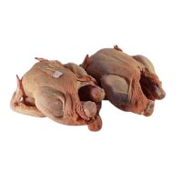 Huhn frisch 1100gr x 10