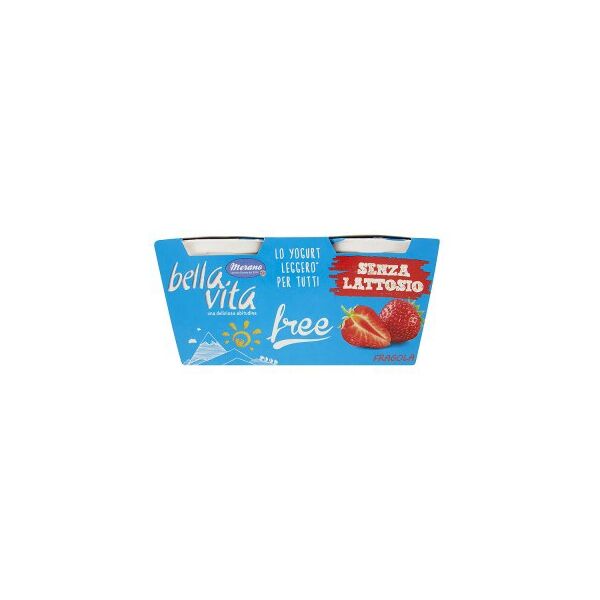 Joghurt senza lattosio fragola 1cf = 125gx2 cod.106869201