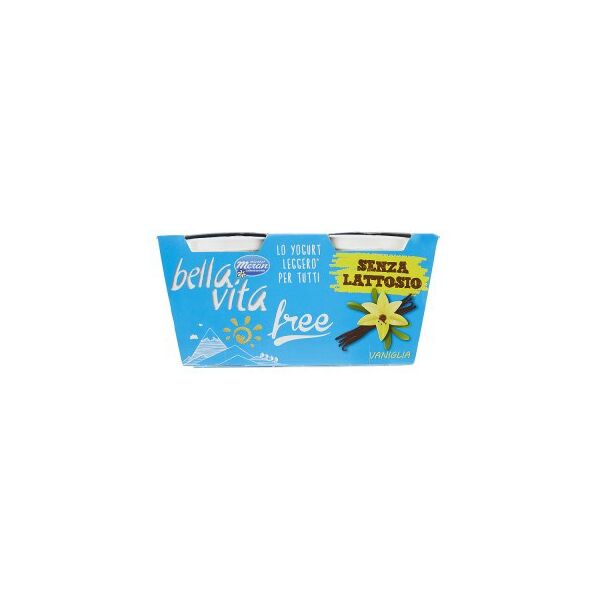 Joghurt laktosefrei Vanille 1Pk = 125gr x 2 (x5)