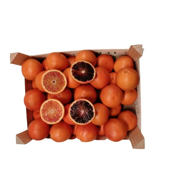 Orangen frisch Saftorangen (1Kiste = 15kg)