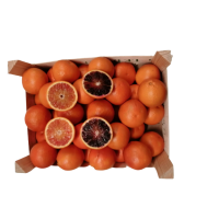 Orangen frisch Saftorangen Italien Nr.9/AB Tarocco ca.7kg...