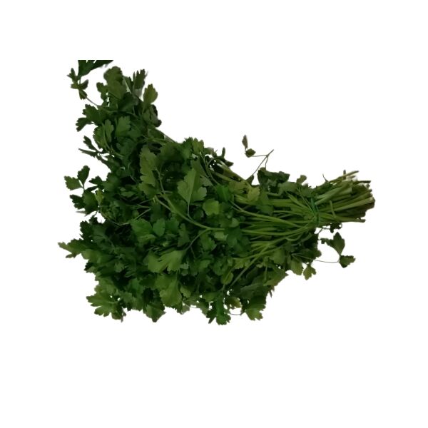 Petersilie Bund ca.0,30kg