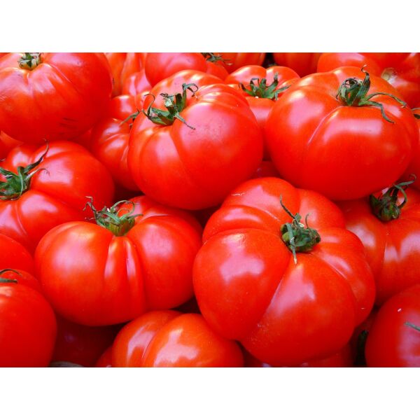 Tomaten frisch RAMATI ca.6kg/Ki