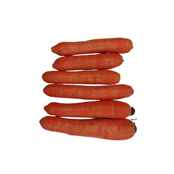 Karotten frisch ca.10kg / Ki