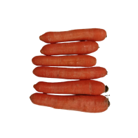Karotten frisch ca.10kg / Ki