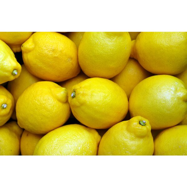 Zitronen frisch extra (1 Kiste = 15 kg)