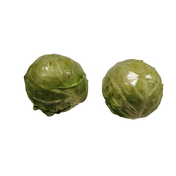 Kraut WeiÃŸkohl frisch KREUZHOF Schabs WEICH rund ca.1kg x 6