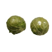 Kraut Weißkohl frisch weich