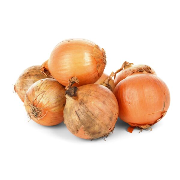 Cipolla fresca gialla 60+ sacco 10kg IT