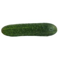 Cetrioli freschi corti ca.6kg / ca