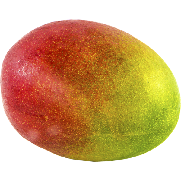 Mango fresco volante ca.400gr (ca.6kg/Ki)