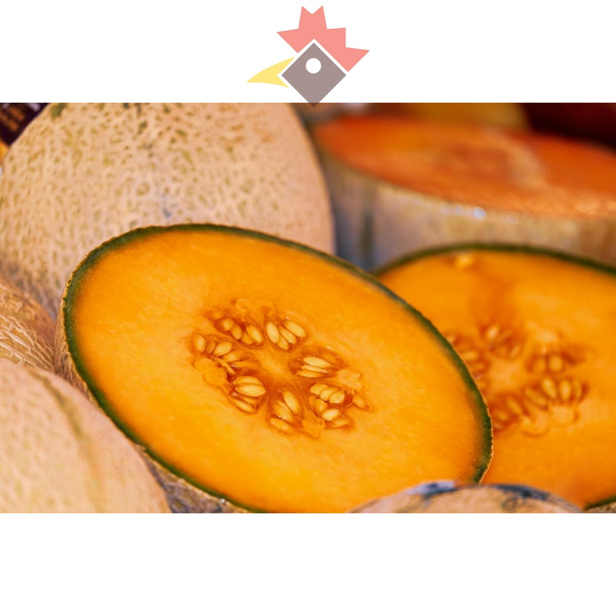 Melone Honigmelone Seppi 3,11