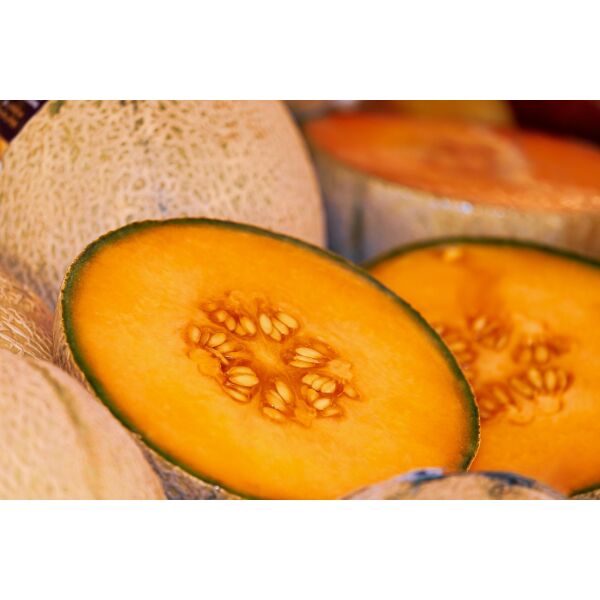 Melone da zucchero (melone di melone) ca.1,2kg (5pz/scatola) Marocco