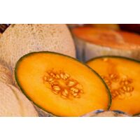 Melone Zuckermelone ca.1,2kg (5St/Ki)