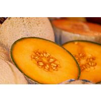 Melone Zuckermelone (Honigmelone) ca.1,2kg (5St / Ki)...