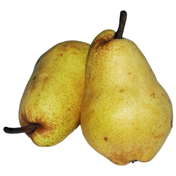 Pere fresche Williams ca.4kg / ca