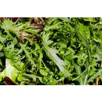 Rucola Frisch 100Gr