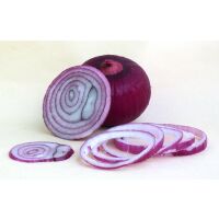 Zwiebel frisch rot