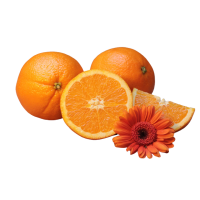 Orangen frisch Speiseorangen Italien cal.8 Tarocco ca.7kg