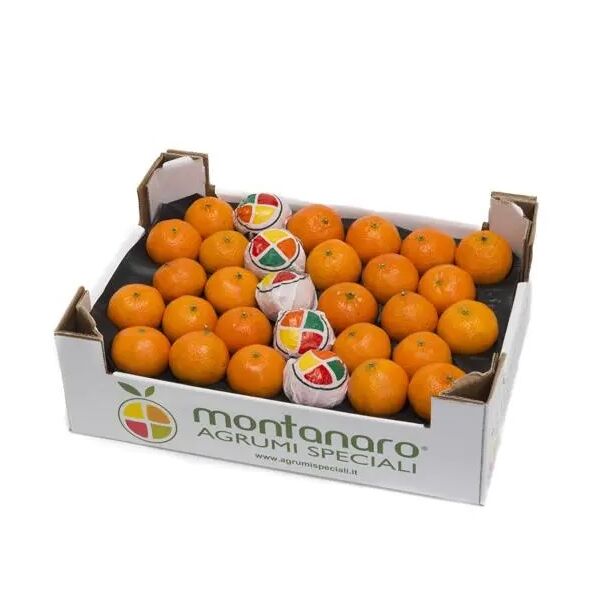 Clementine (mandarini) fresche ca.5,3kg/Ki