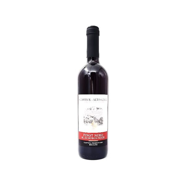 Wein ROT 7/10x6 Blauburgunder Kell. Bozen 13% 2021 Pinot Nero