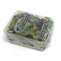 Salat Misticanza verpackt - Tasse 100gr x 8 